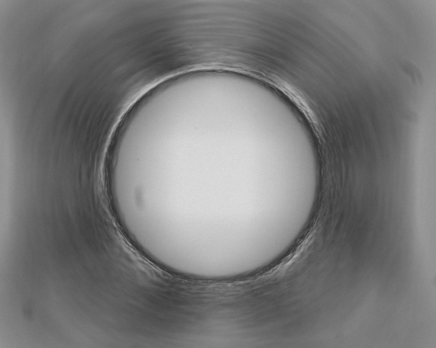 X0000113060876200908280945