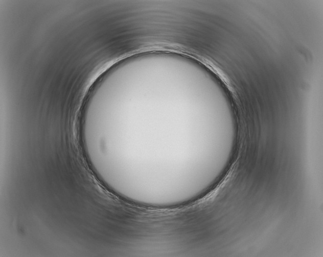 X0000113060877200908280945
