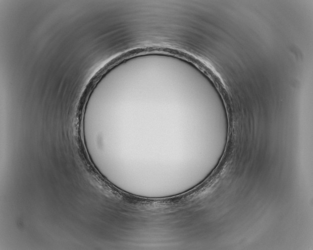 X0000113060879200908280945