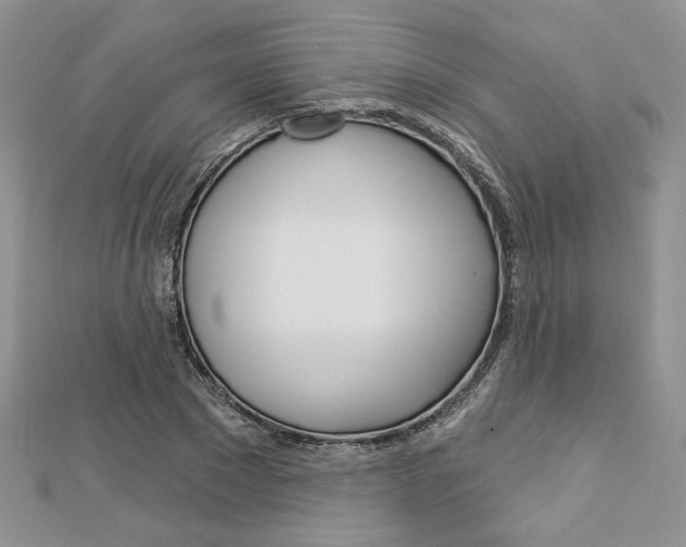 X0000113060881200908280945