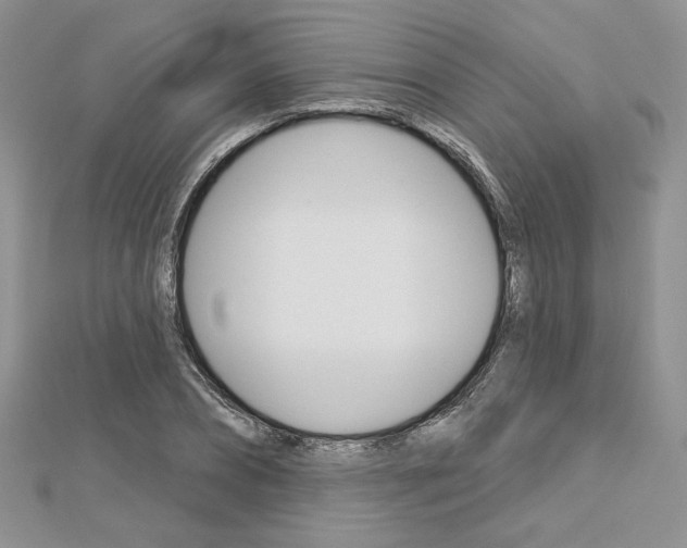 X0000113060882200908280945