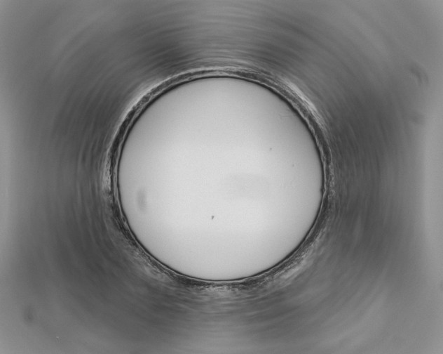 X0000113060883200908280945