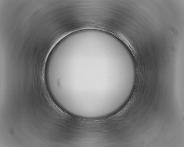 X0000113060884200908280945