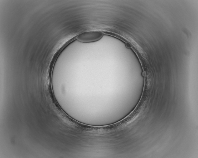 X0000113060885200908280945