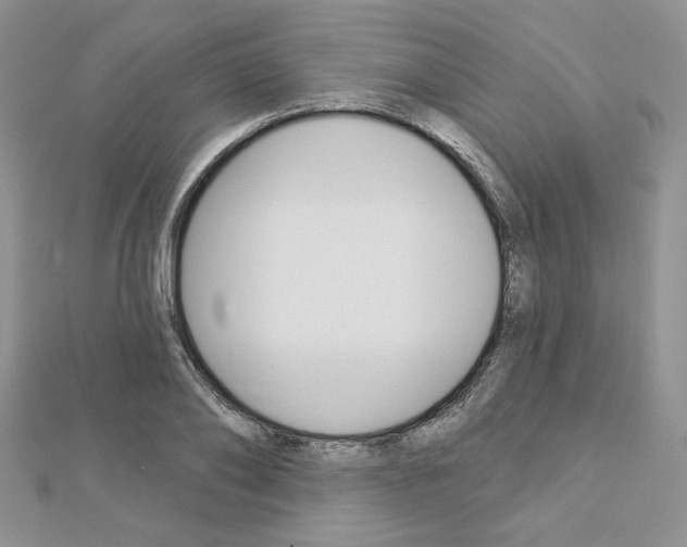 X0000113060886200908280945