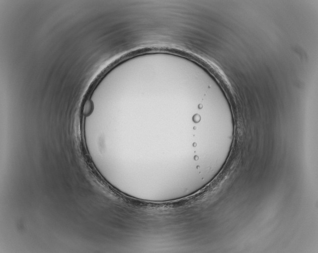 X0000113060887200908280945