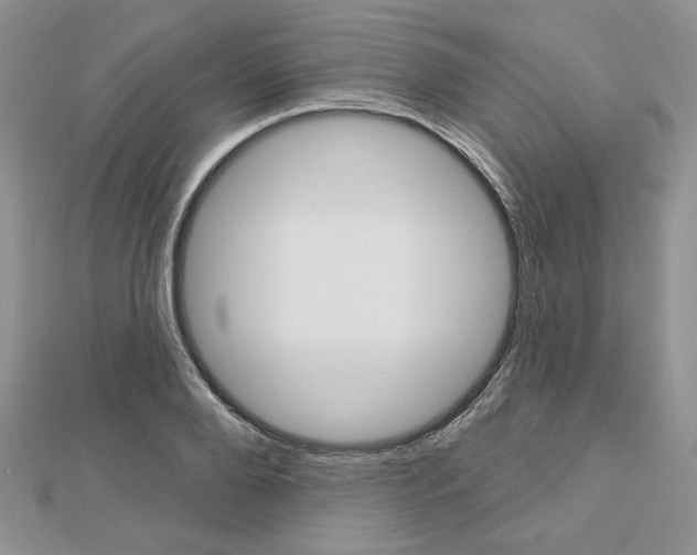 X0000113060888200908280945