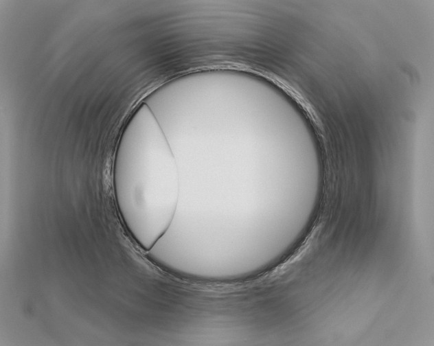 X0000113060889200908280945