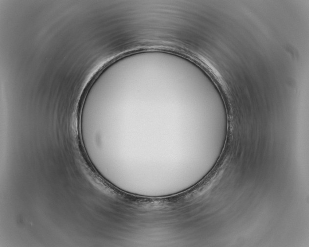 X0000113060891200908280945