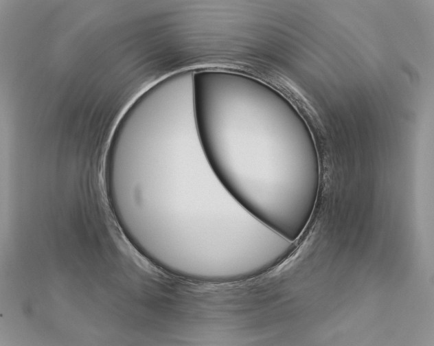 X0000113060892200908280945