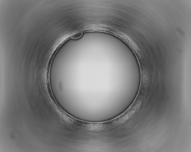 X0000113060893200908280945