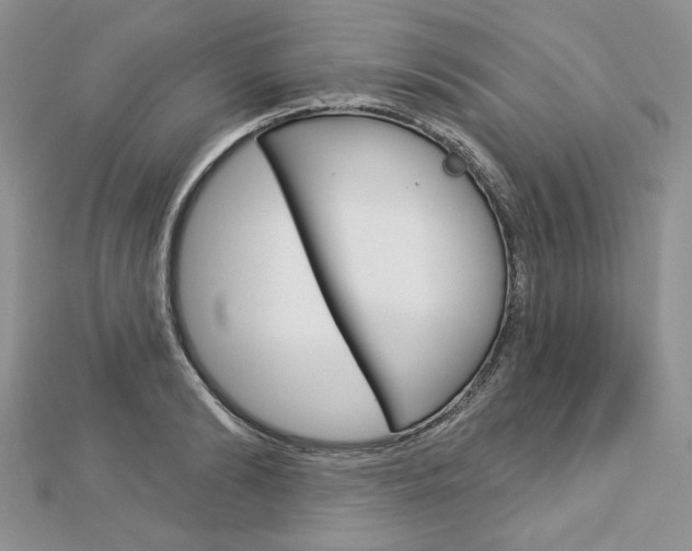 X0000113060894200908280945