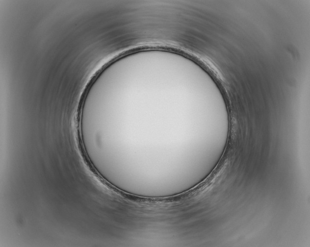 X0000113060895200908280945
