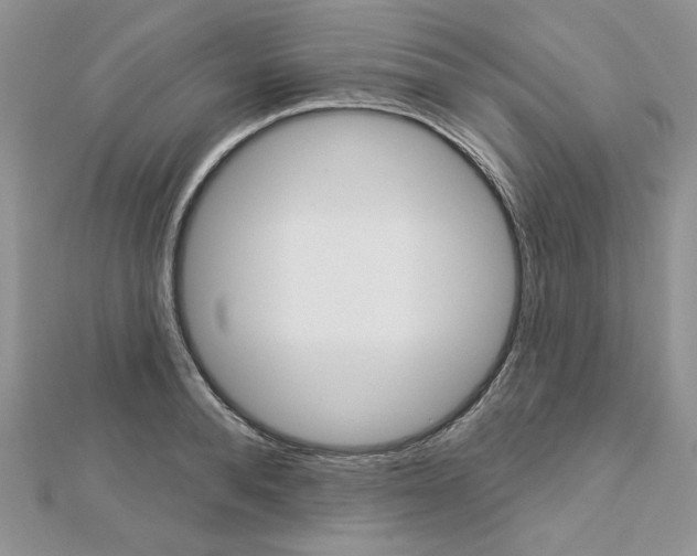 X0000113060896200908280945