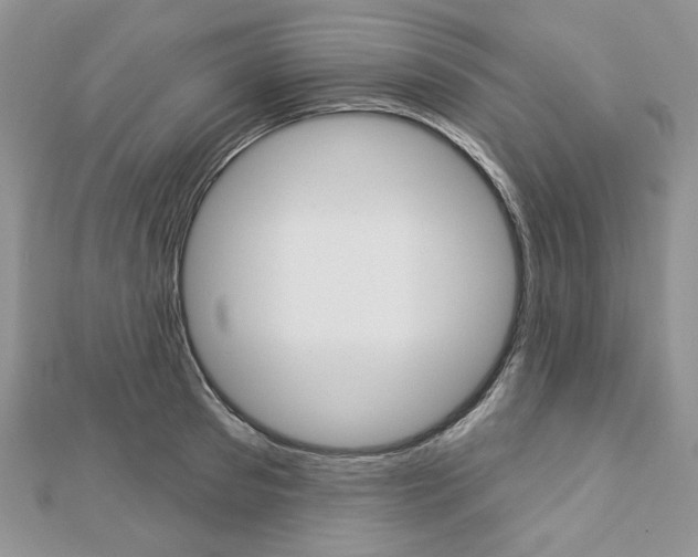 X0000113060897200908280945