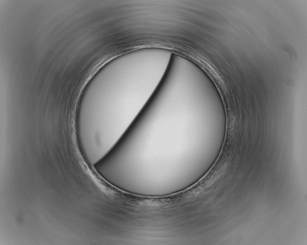 X0000113060898200908280945