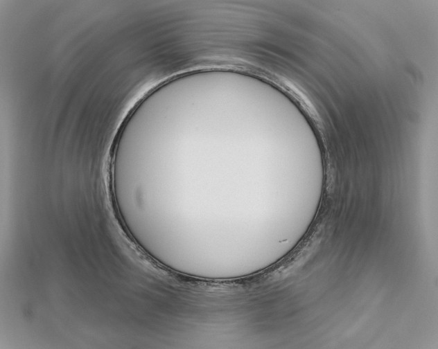 X0000113060899200908280945