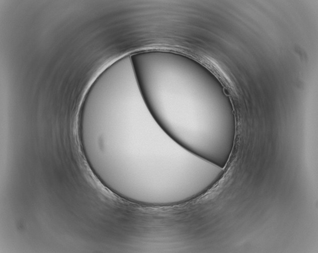 X0000113060900200908280945