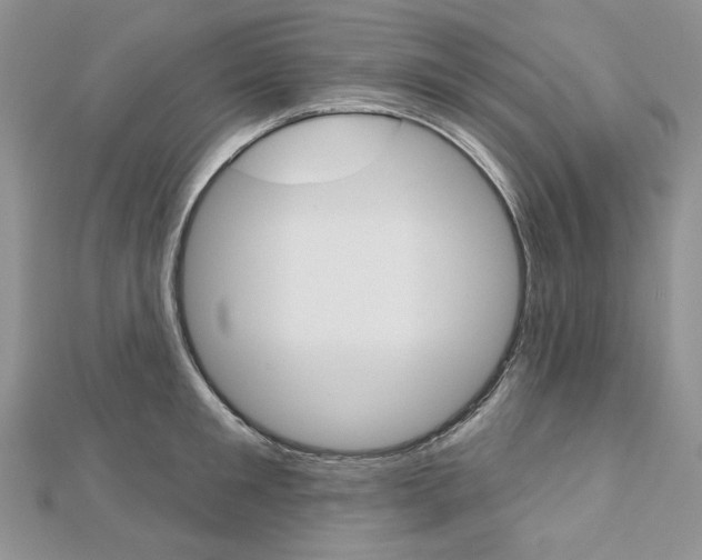 X0000113060901200908280945