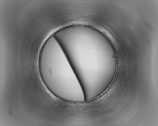 X0000113060902200908280945