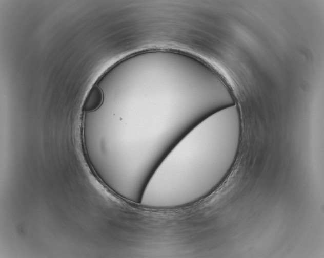 X0000113060903200908280945