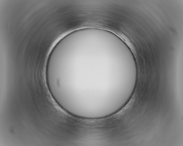 X0000113060904200908280945