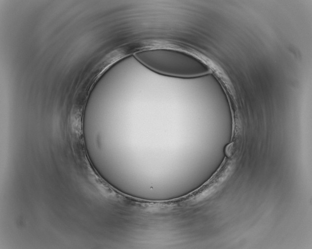 X0000113060905200908280945