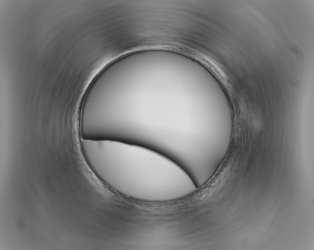 X0000113060907200908280945