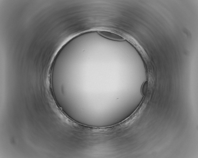 X0000113060908200908280945