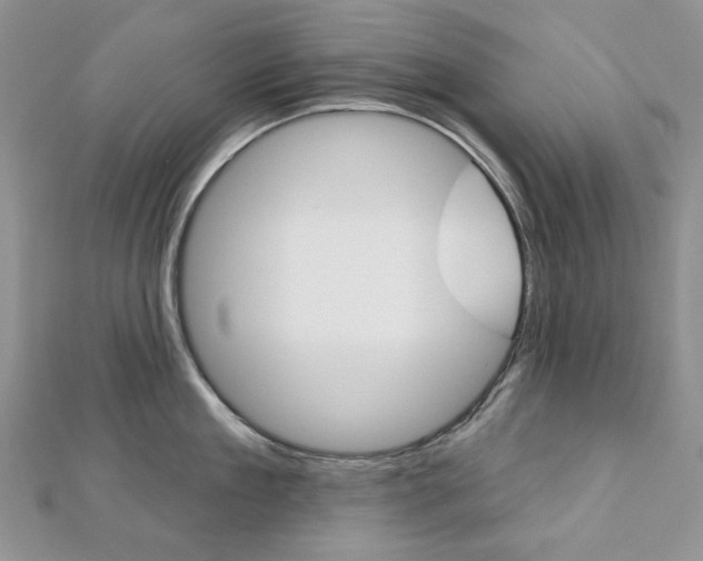 X0000113060909200908280945
