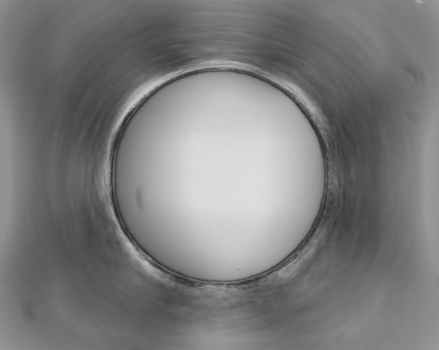 X0000113060910200908280944
