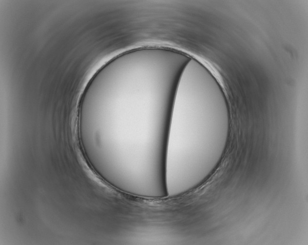 X0000113060911200908280944