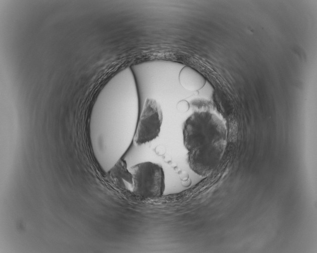 X0000113060913200908280944