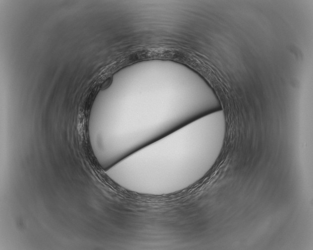 X0000113060914200908280944
