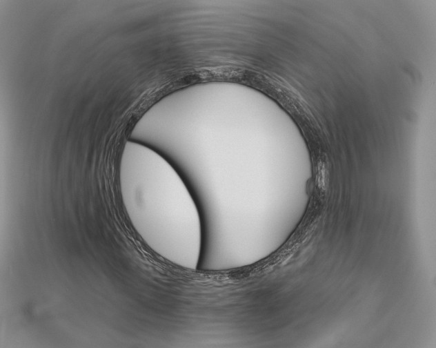 X0000113060915200908280944