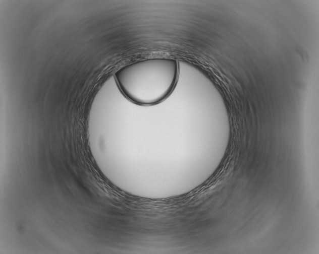 X0000113060916200908280944