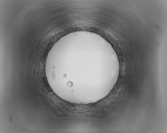 X0000113060917200908280944