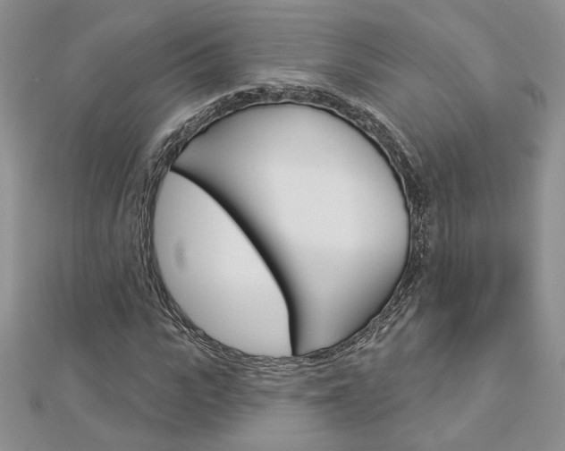 X0000113060919200908280944