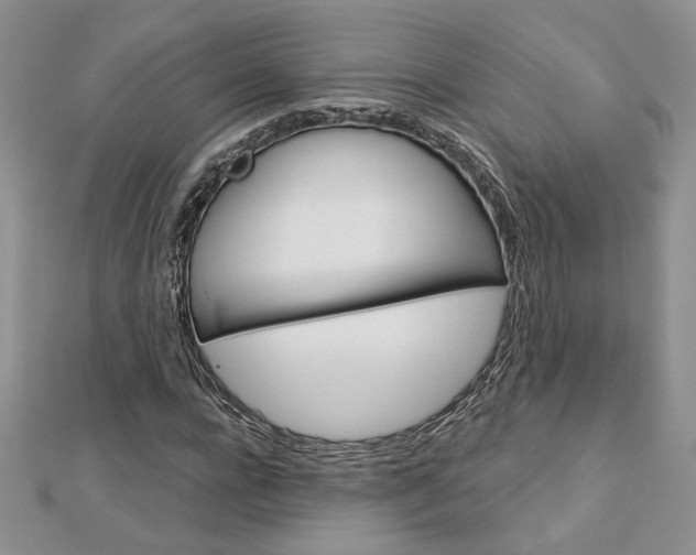 X0000113060920200908280944