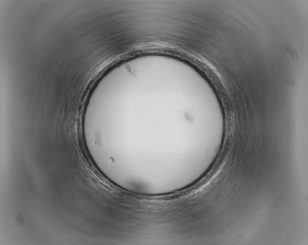 X0000113060921200908280944