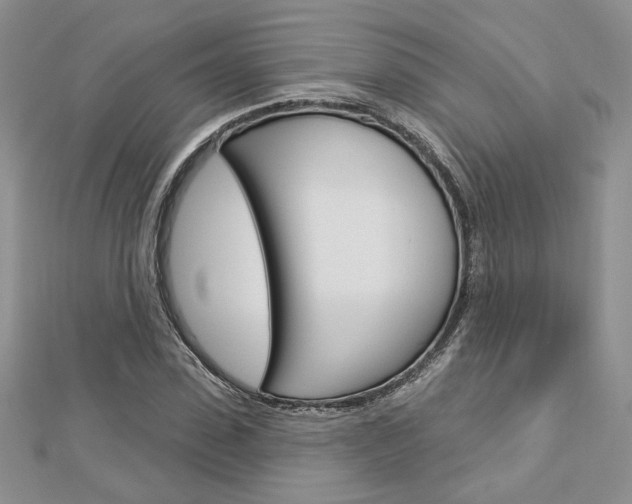 X0000113060923200908280944
