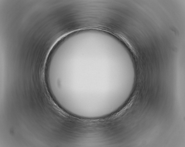 X0000113060924200908280944