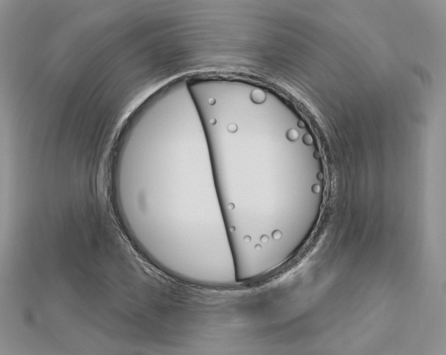 X0000113060925200908280944