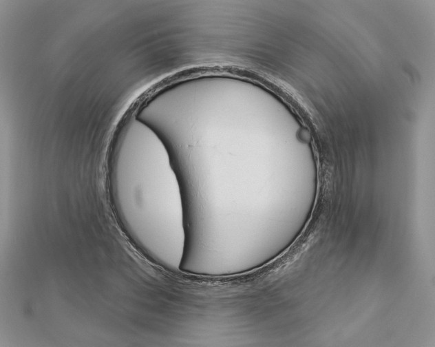 X0000113060927200908280944