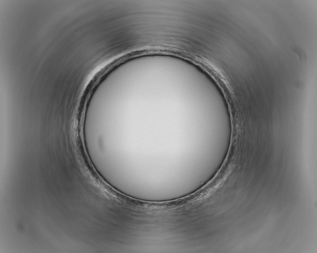 X0000113060928200908280944