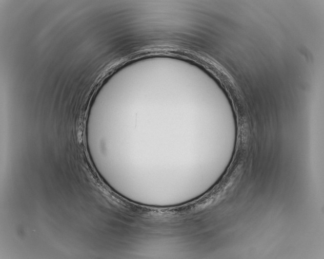 X0000113060929200908280944