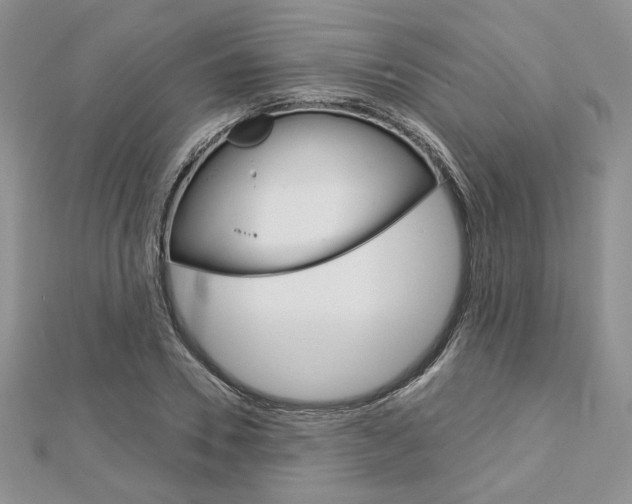 X0000113060930200908280944
