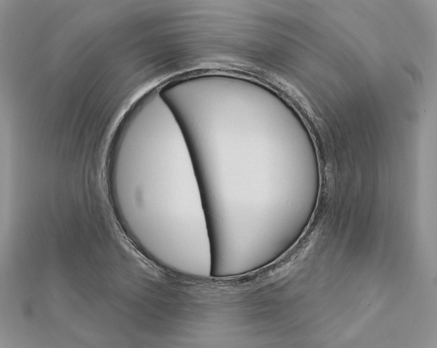 X0000113060931200908280944