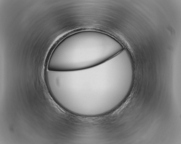 X0000113060932200908280944