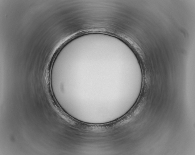 X0000113060933200908280944